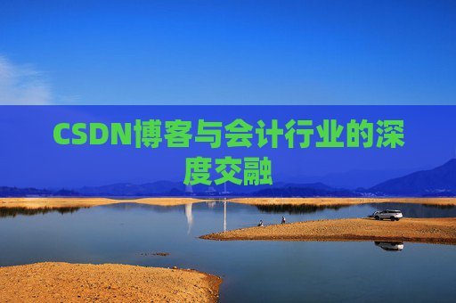 CSDN博客与会计行业的深度交融